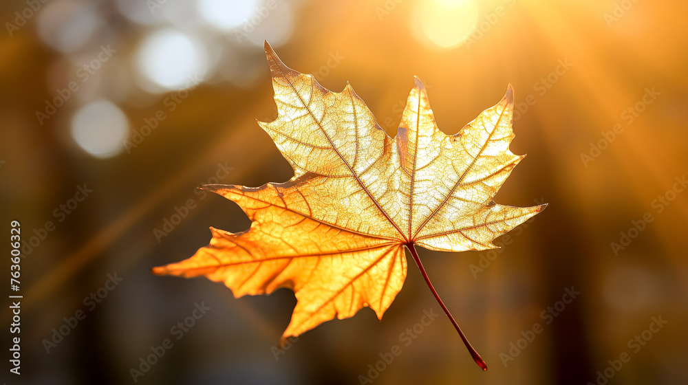 A leaf is floating in the air with the sun shining on it. The leaf is yellow and has a shiny, wet appearance. Concept of warmth and tranquility, as the sun's rays illuminate the leaf