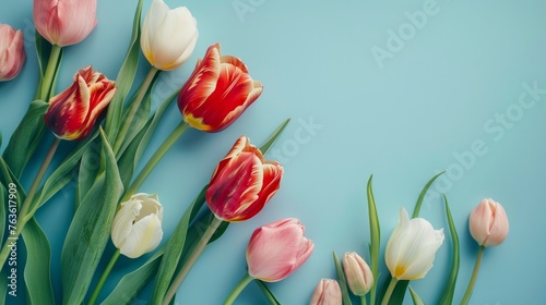 Closeup of colorful blooming tulip flowers in spring on blue background. Mother's Day, Valentines, Anniversary, Easter, Birthday. #763617909
