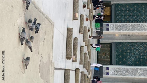 Mecca, Saudi Arabia, February 3, 2024 : Vertical Video of Pigeon at Courtyard of Al Haram Mosque