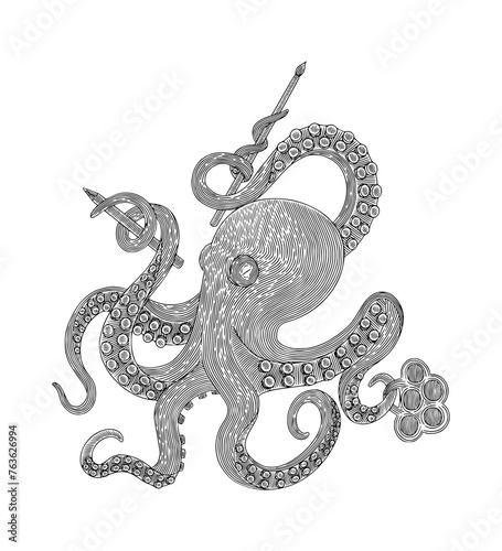 Octopus, Vintage engraving drawing vector  illustration