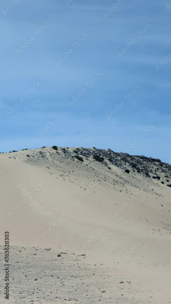 steep sand dune on the beach at Sotavento de Jadia in Fuerteventura with sea in the background in vertical steep sand dune on the beach at Sotavento de Jadia in Fuerteventura with sea in the background in vertical
