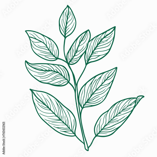 Green leaves in cartoon, doodle style. Image for t-shirt, web, mobile apps and ui. Isolated 2d vector illustration in logo, icon, sketch style, Eps 10. AI Generative © Alexey