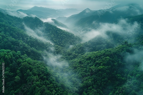 Bird's eye view of the Himalayan impenetrable jungle in dark green shades and fog.