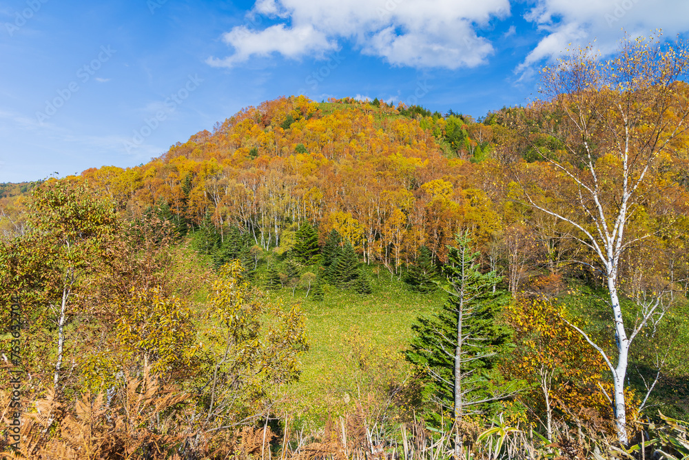 Φωτογραφία 日本の風景・秋　志賀高原　紅葉見頃の平床