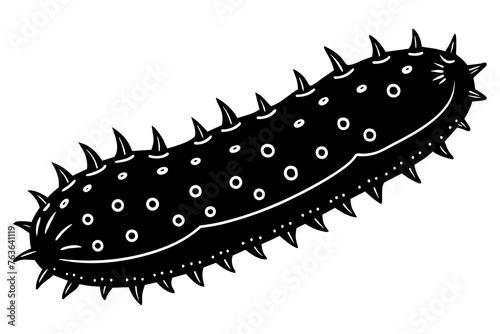 sea cucumber silhouette vector illustration