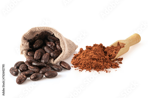 Cocoa bean and cocoa powder on white background.