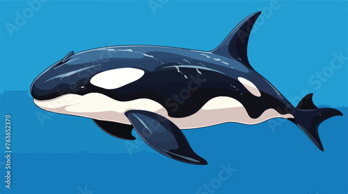 Hand drawn colorful cute killer whale sketch style