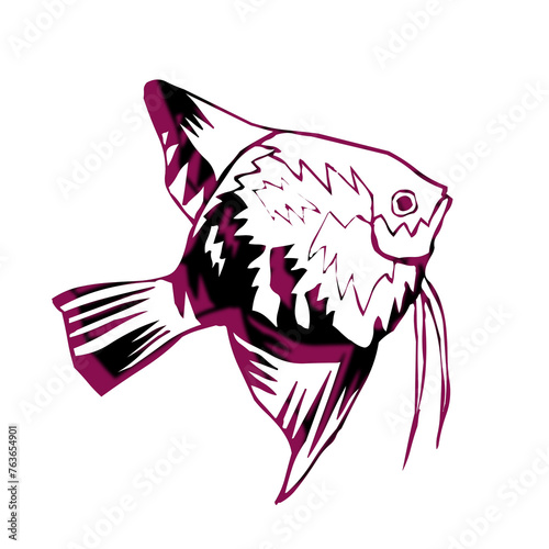 image of a fish