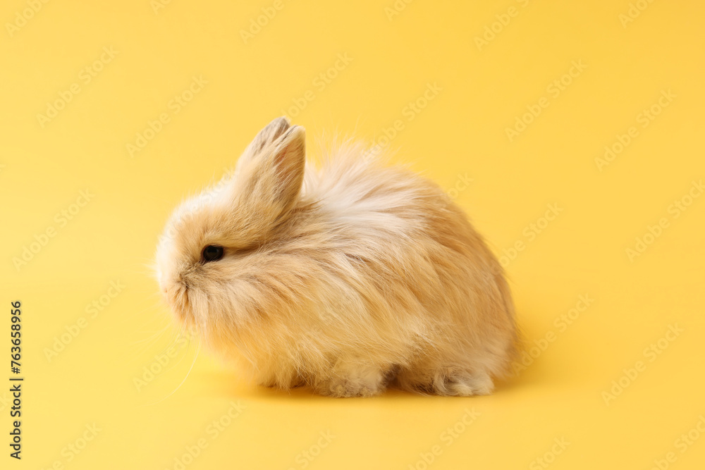 Fototapeta premium Cute little rabbit on yellow background. Adorable pet