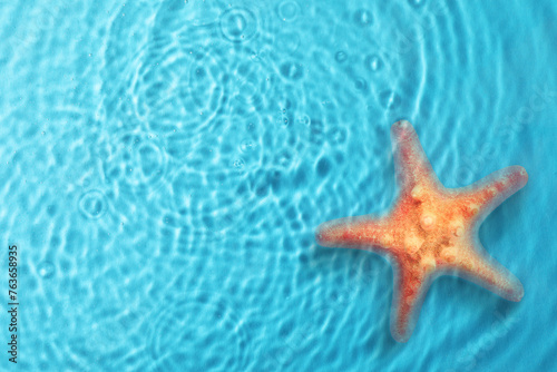 Starfish in sea water, top view. Space for text