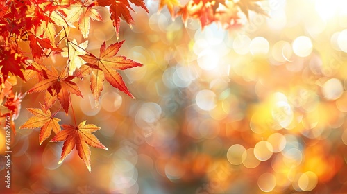 Autumnal End-of-Year Web Banner: Vibrant Red and Yellow Maple Leaves with Soft Focus Bokeh Background