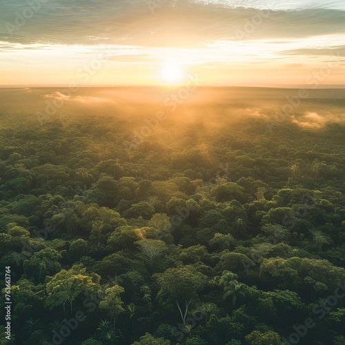 Beautiful green amazon forest landscape at sunset sunrise. Adventure explore air drone view