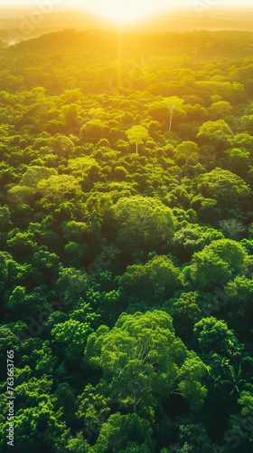 Beautiful green amazon forest landscape at sunset sunrise. Adventure explore air drone view