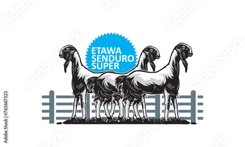 ETAWA SENDURO SUPER GOAT LOGO, silhouette of great ram un farm vector illustrations