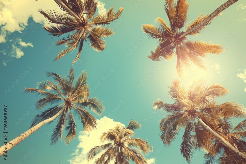 Obraz premium Palms against blue sky, upward perspective