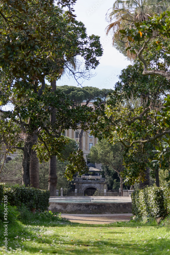 Beautiful green walking alley in the park at the villa with tall trees and a fountain