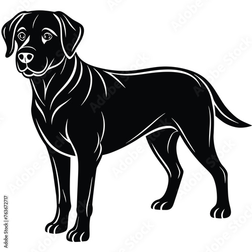 Dog labrador  Isolated on white background vector illustration. 