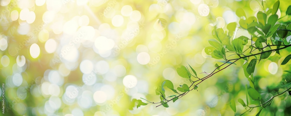 Sunlight filters through fresh leaves, casting a vibrant dance of green bokeh on a dreamy spring day.