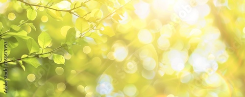 Gentle sun rays dance among fresh leaves, offering a backdrop of brilliant bokeh in a peaceful woodland.
