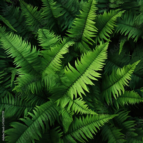 leafy green fern background