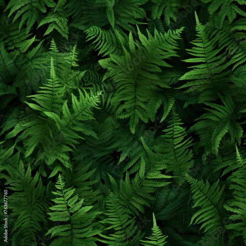 leafy green fern background