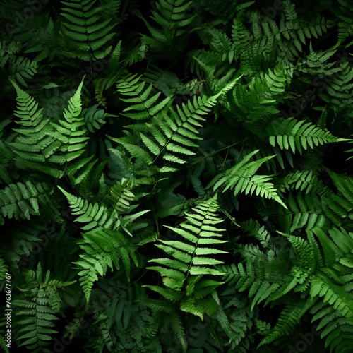 leafy green fern background