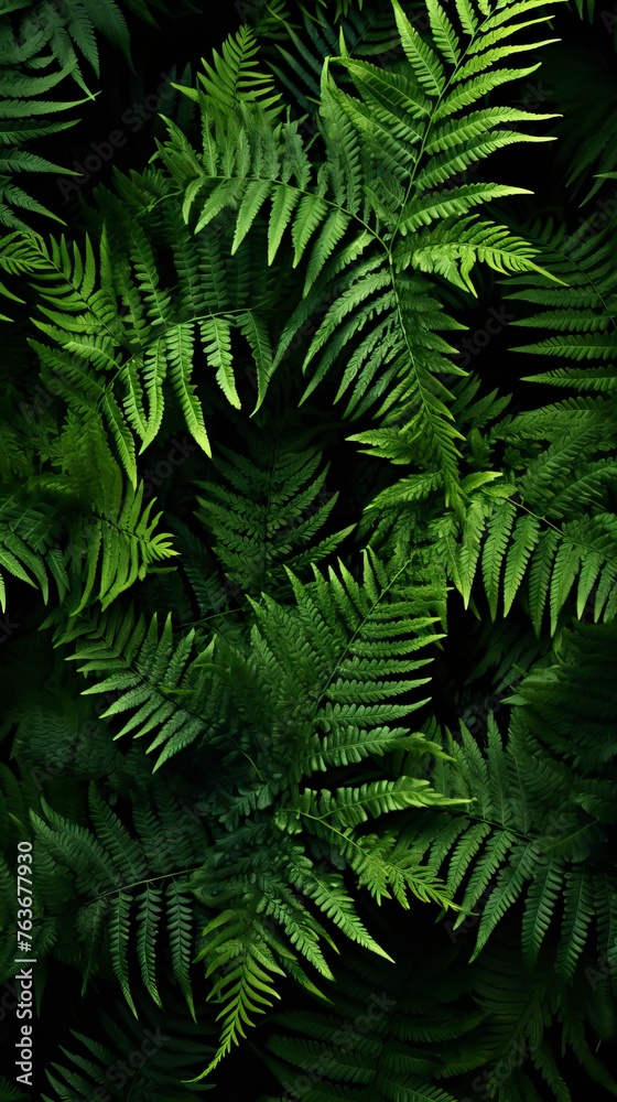 leafy green fern background leafy green fern background