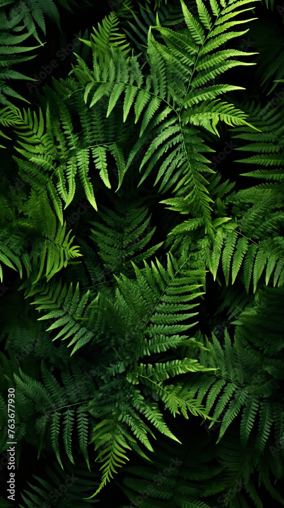 leafy green fern background