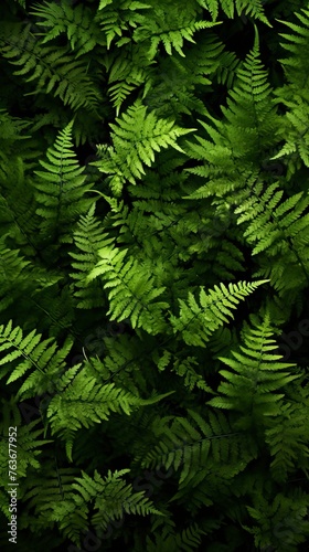 leafy green fern background