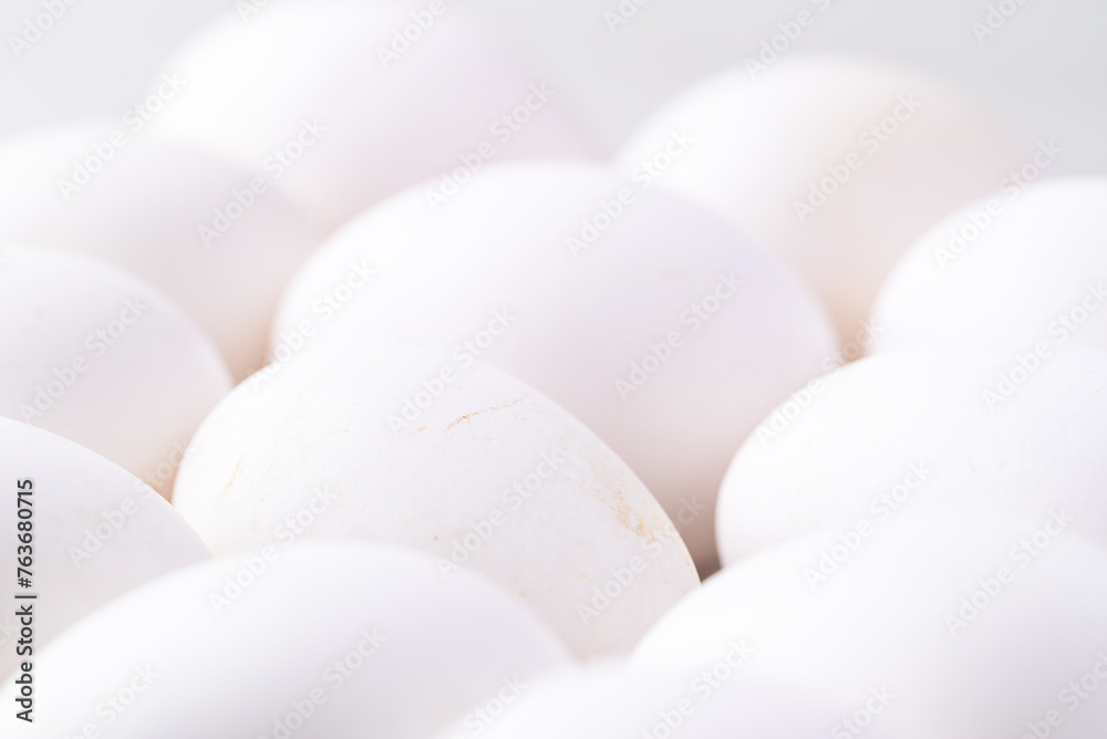 Organic white leghorn egg from free range farm Organic white leghorn egg from free range farm