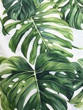 A painting featuring green leaves against a white background, showcasing the vibrant colors and natural beauty of foliage