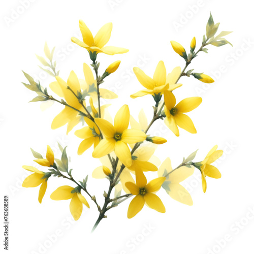 A forsythia flower branch bursts with bright yellow flowers