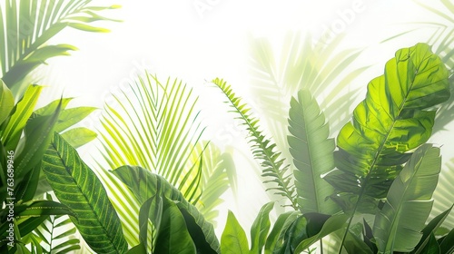 Lush Tropical Foliage. Close-up of Vibrant Green Palm Fronds with Distinct Veins © Postproduction