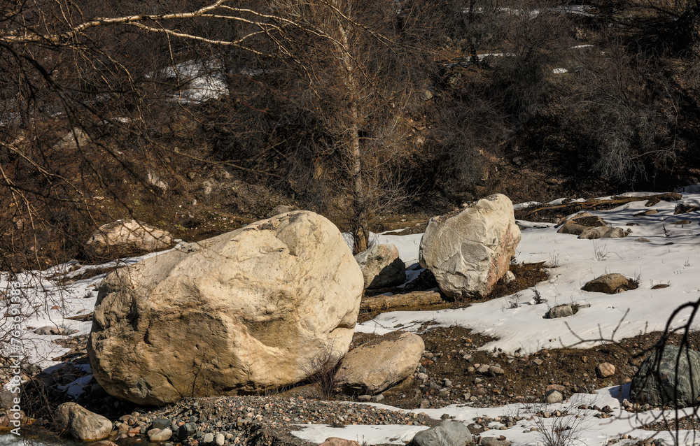 Obraz premium stone in the sand