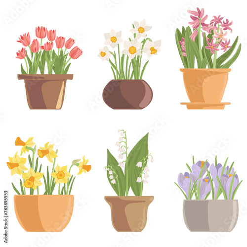 pots with spring flowers, vector drawing flowering plants in flowerpots at white background, floral elements, hand drawn botanical illustration