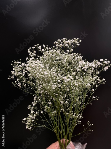 bouquet of  baby’s breath flowers photo