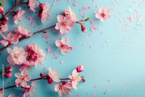 Spring Blossoms on Pastel Blue Background - A springtime composition featuring blossoms on a pastel blue background  perfect for wall art or advertising.