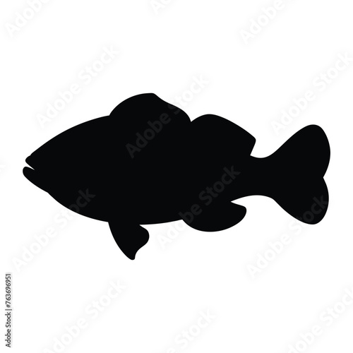 silhouette of a grouper fish on white