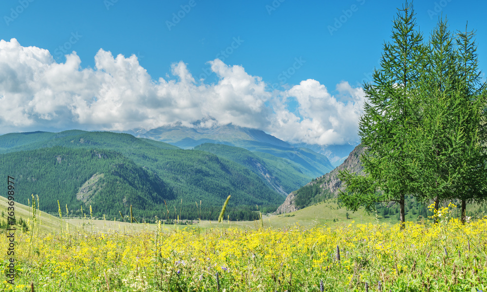 View of a picturesque mountain valley, green meadows and forests, snow-capped peaks, summer day	