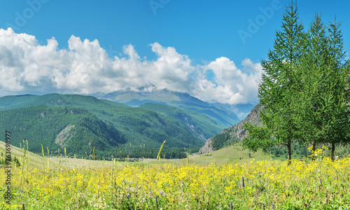 View of a picturesque mountain valley, green meadows and forests, snow-capped peaks, summer day 