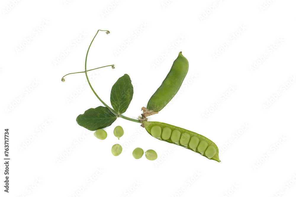 Open pea pods and green leaf isolated over white Open pea pods and green leaf isolated over white