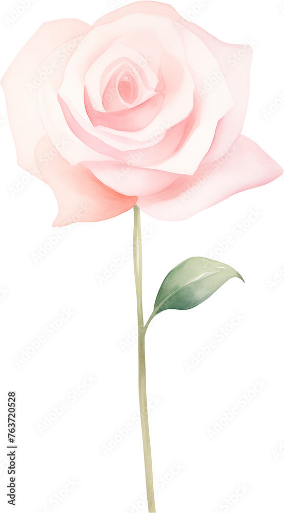 watercolor illustration pink Rose flower and green leaves. Florist bouquet, International Women's Day, Mother's Day, wedding flowers. watercolor illustration pink Rose flower and green leaves. Florist bouquet, International Women's Day, Mother's Day, wedding flowers.