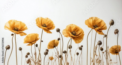 Flowers background. Yellow Poppy flowers pattern on white backdrop. Floral art. Poster