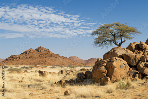 photo african nature scenery with clear sky