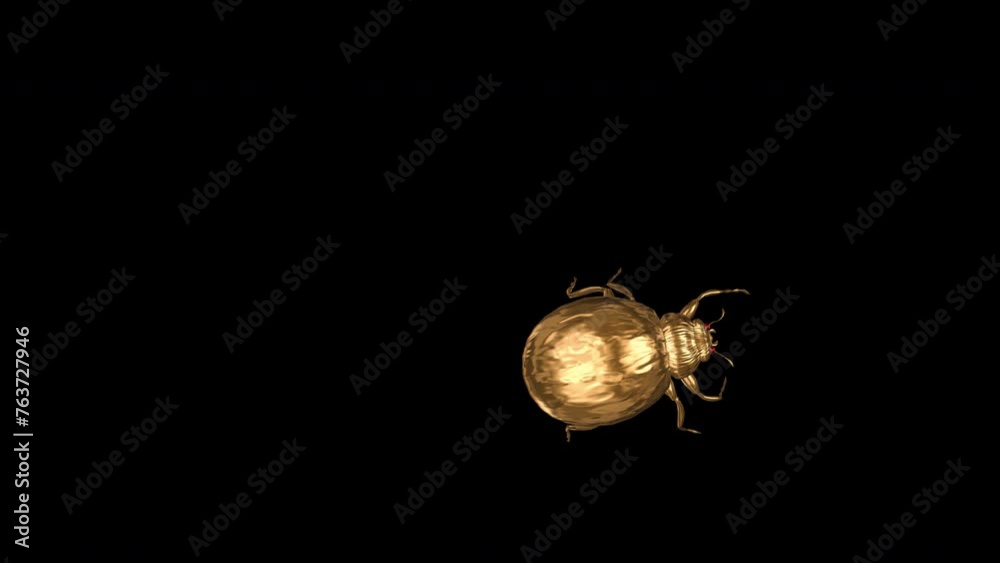 Golden Ladybird Beetle Bug - Crawling Over Screen - Top View CU - Alpha ...