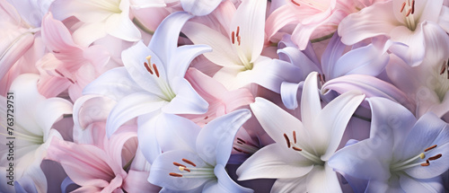 Collection of Colorful Lily flowers blooming in soft pastel bright colors on a vast natural spring floral wide background created with Generative AI Technology