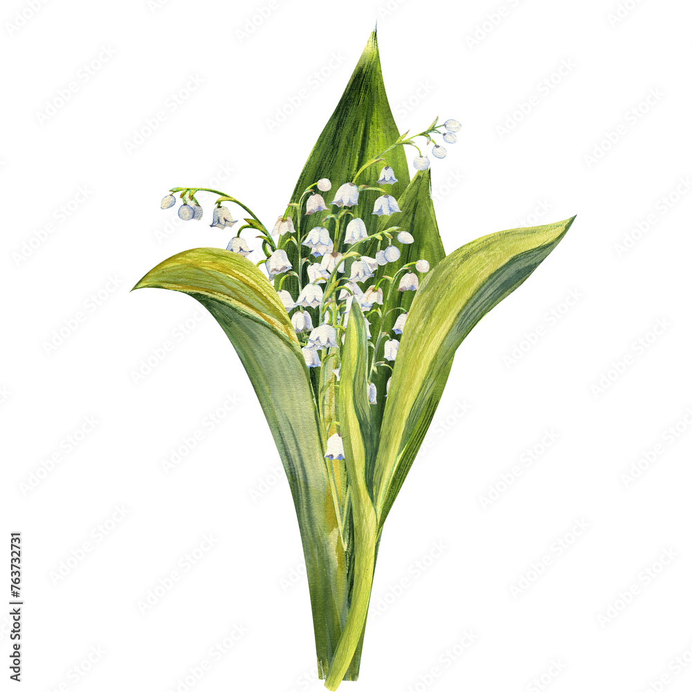 Fototapeta premium Bouquet of lily of the valley flowers, drawn by hand. Watercolor illustration of spring flowers