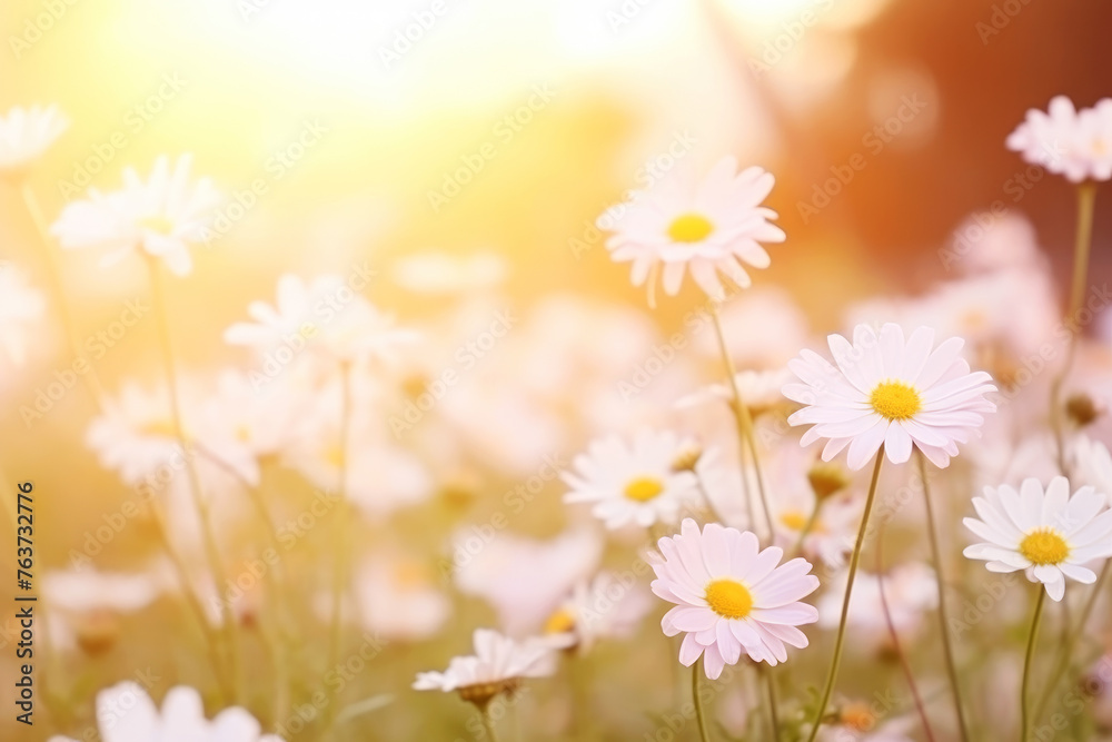 Meadow flowers in warm colors.