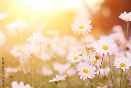 Meadow flowers in warm colors. © Amerigo_images