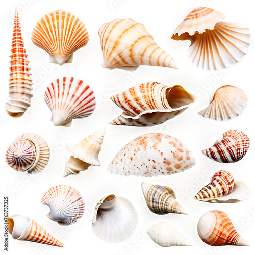 Collection of assorted seashells, isolated on transparent background Transparent Background Images 